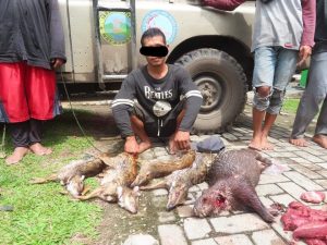 KLHK Tangkap Pemburu di Taman Nasional Way Kambas
