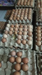 Lalai dari Pengawasan, Beberapa E-Warong di Kabupaten Gorontalo Dipasok Telur Tak Layak Konsumsi