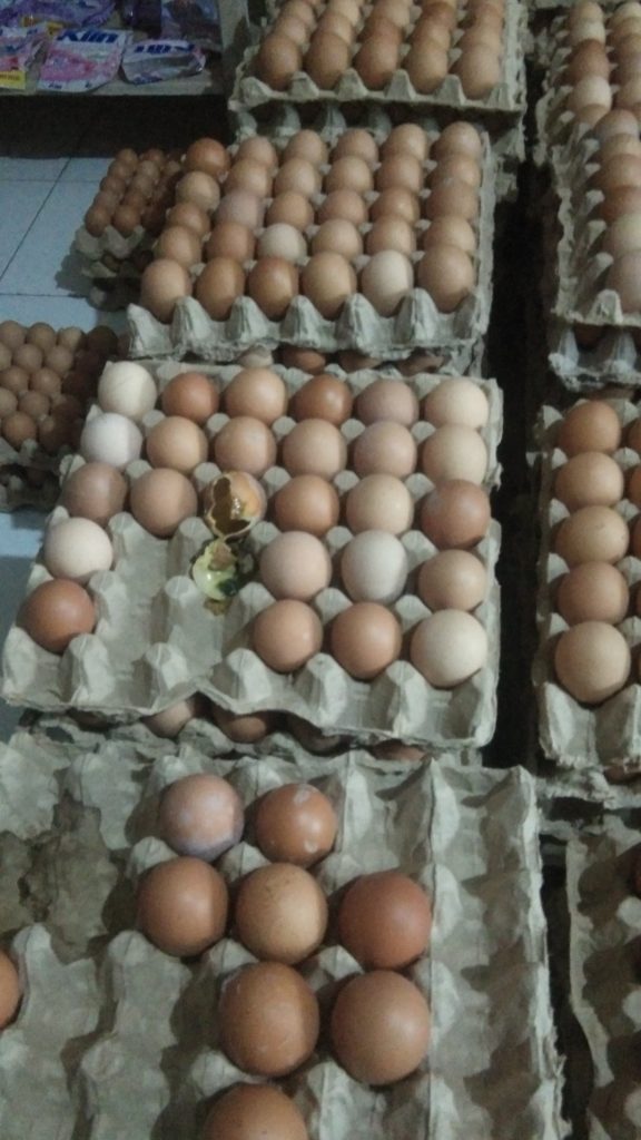 Lalai dari Pengawasan, Beberapa E-Warong di Kabupaten Gorontalo Dipasok Telur Tak Layak Konsumsi
