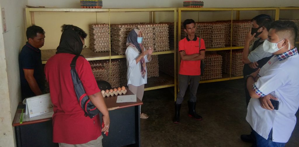 Beredarnya Telur Tak Layak Konsusmsi, Ini Tanggapan Sejumlah Pengusaha Telur di Kabupaten Gorontalo
