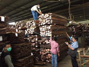 Diduga Terlibat Bisnis Kayu Ilegal, 2 Oknum Pengusaha Ditahan