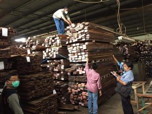 Gakkum KLHK : Tersangka Kasus Kayu Merbau Ilegal dari Aru Segera disidangkan di Surabaya