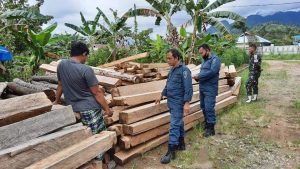 Gakkum KLHK dan Dinas Kehutanan Tindak Pengolahan Kayu Tanpa Izin