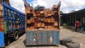 144 Batang Kayu Olahan iIegal Tanpa Dokumen Resmi Berhasil Diamankan Balai Gakkum KLHK