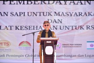 Masyarakat Penambang Terima Bantuan Sapi sebanyak 350 Dari PT PTS Dan PT GSM