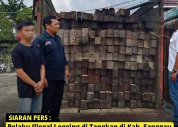 Berkas Perkara Dinyatakan Lengkap (P21) ,Kasus Ilegal Logging di Kab.Sanggau Siap Disidangkan