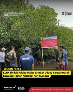 Merusak Kawasan Taman Nasional Karimunjawa KLHK Tindak Pelaku Usaha Tambak Udang