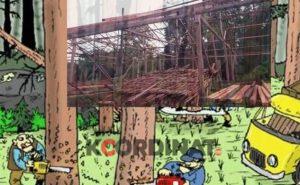 Waduh,Proyek Pembangunan di Desa Karya Baru Diduga Gunakan Kayu Ilegal