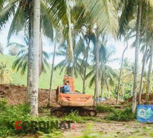 Tak Indahkan Surat Edaran Bupati,Peti Balayo Terus Beraktivitas di Dekat Polsek Patilanggio