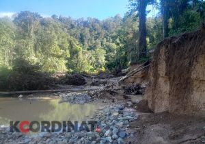 NGO Pertanyakan Pengawasan Hutan Konservasi Nantu : Tidak Becus