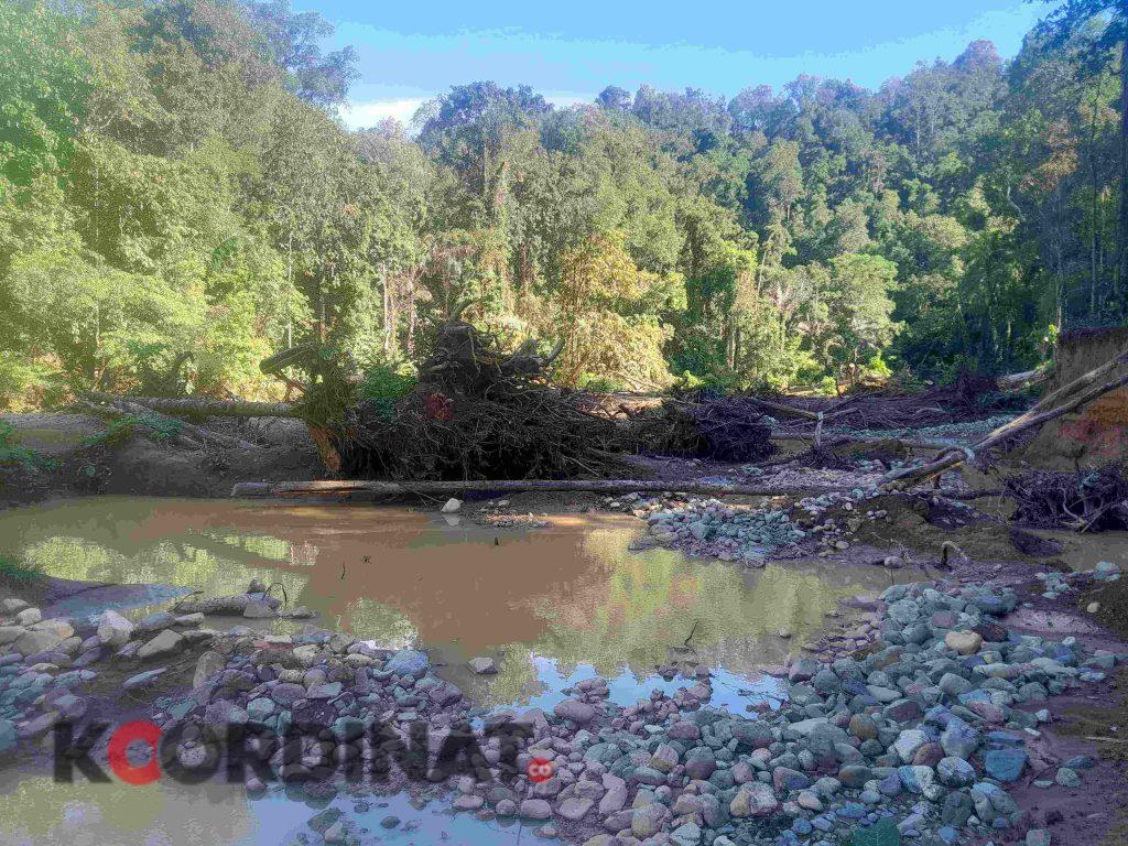 Tambang Ilegal Tumbuh Subur Dalam Kawasan Hutan konservasi Nantu,Tanggung jawab Siapa.?