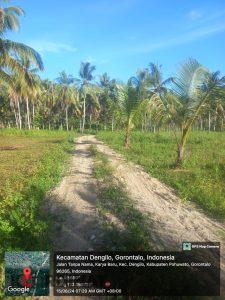 Proyek Peningkatan Jalan di Desa Karya Baru Diduga Masuk Kawasan Hutan