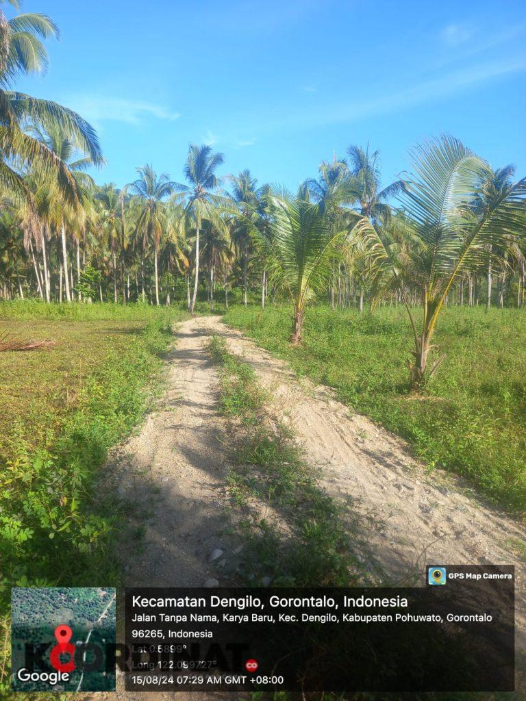Proyek Peningkatan Jalan di Desa Karya Baru Diduga Masuk Kawasan Hutan