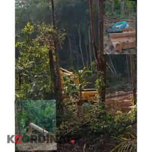 Akses Jalan Diblokir Perusahan PT.LIL ,Diduga Ada Peti Dalam Kawasan HGU