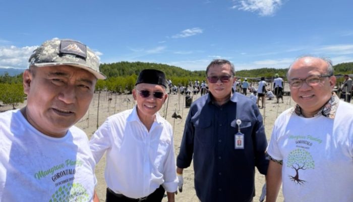 Dorong Ekonomi Lokal, Wabup Iwan S Adam Ikut Tanam Mangrove Perdana di Pohuwato
