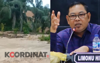 Limonu Hippy Desak PGM Bertanggung Jawab atas Banjir, DLHK Diminta Jangan Tutup Mata soal AMDAL
