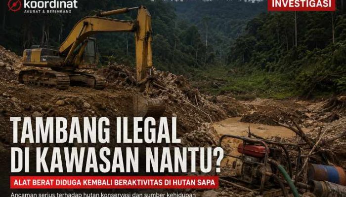 Bayang-Bayang Tambang Ilegal di Kawasan Nantu, Alat Berat Diduga Kembali Menembus Hutan Sapa