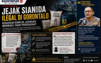 INVESTIGASI: Jejak Sianida Ilegal di Gorontalo, Benarkah Konflik Antarjaringan Membuka Tabir Peredaran? GORONTALO – Terungkapnya dua kasus penyelundupan sianida ilegal di Gorontalo dalam rentang waktu yang relatif berdekatan memunculkan berbagai pertanyaan. Selain mengindikasikan masih terbukanya jalur masuk bahan kimia berbahaya tersebut ke Gorontalo, berkembang pula informasi mengenai dugaan adanya lebih dari satu jaringan distribusi yang selama ini memasok sianida ke sejumlah lokasi pertambangan emas tanpa izin (PETI). Berdasarkan informasi yang dihimpun Koordinat.co dari sejumlah sumber yang mengetahui dinamika peredaran sianida ilegal di Gorontalo, diduga terdapat dua jaringan yang memiliki peran dalam distribusi sianida ke sejumlah wilayah pertambangan ilegal. Masing-masing jaringan disebut memiliki jalur distribusi, pelanggan, dan wilayah pemasaran yang berbeda. Sejumlah sumber menyebutkan, persaingan untuk menguasai pasar bahan kimia tersebut diduga memicu perselisihan antarkelompok. Bahkan, berkembang informasi bahwa konflik tersebut berujung pada saling memberikan informasi kepada aparat penegak hukum, yang kemudian diduga ikut berkontribusi terhadap terungkapnya dua kasus penyelundupan dalam waktu yang hampir bersamaan. Meski demikian, Koordinat.co belum dapat memverifikasi informasi tersebut secara independen, dan Polda Gorontalo belum pernah menyatakan secara resmi bahwa dugaan konflik antarkelompok menjadi penyebab terungkapnya kedua perkara.  Informasi lain yang diperoleh dari lapangan juga menyebutkan bahwa masing-masing jaringan diduga memiliki relasi yang luas sehingga aktivitas distribusinya dapat berlangsung dalam waktu yang lama. Namun informasi tersebut juga masih berupa dugaan dan memerlukan pembuktian melalui proses penyidikan.  Pengamat hukum Gorontalo, Fendi Ferdian, SH, menilai informasi mengenai dugaan keberadaan lebih dari satu jaringan distribusi patut dijadikan salah satu hipotesis penyidikan.  “Kalau memang terdapat informasi mengenai adanya beberapa jaringan yang saling bersaing dalam distribusi sianida ilegal, maka hal itu layak didalami penyidik. Namun itu baru sebatas hipotesis yang harus diuji dengan alat buktk,” ujar Fendi kepada Koordinat.co. Menurutnya, penyidikan seharusnya tidak berhenti pada penyitaan barang bukti maupun penangkapan pelaku di lapangan. Aparat juga perlu mengungkap rantai pasok secara menyeluruh, mulai dari pemasok, jalur masuk melalui laut, distributor, pihak yang membiayai, hingga pengguna akhirnya di lokasi pertambangan ilegal. “Apabila benar terdapat lebih dari satu jaringan, maka penyidikan harus mampu memetakan hubungan antarjaringan, pola distribusi, sumber pasokan, serta aktor yang memperoleh keuntungan terbesar dari perdagangan bahan kimia berbahaya tersebut,” katanya. Secara kriminologis, perebutan wilayah distribusi merupakan pola yang kerap muncul dalam kejahatan terorganisasi dengan nilai ekonomi tinggi. Sianida memiliki nilai jual tinggi karena banyak disalahgunakan dalam proses pengolahan emas di tambang ilegal. Persaingan menguasai pasar dapat memunculkan konflik internal hingga kebocoran informasi kepada aparat. Namun pola tersebut belum dapat dipastikan terjadi dalam kasus Gorontalo sebelum ada hasil penyidikan yang menguatkannya. Di sisi lain, pengungkapan dua perkara dalam waktu berdekatan juga dapat menunjukkan meningkatnya efektivitas pengawasan aparat terhadap jalur penyelundupan melalui laut. Karena itu, penyebab keberhasilan pengungkapan tidak dapat disimpulkan hanya dari satu dugaan. Sementara itu, Kepala Bidang Humas Polda Gorontalo, Kombes Pol. Desmont Harjendro Agitson Putra, menegaskan bahwa proses penyidikan kasus penyelundupan sianida ilegal masih terus berjalan. Dalam keterangannya kepada media pada 2 Juni 2026, Desmont membantah anggapan bahwa penyidikan mengalami hambatan. “Polda masih memproses kasusnya dan tidak ada kendala, sabar nanti di-update,” ujarnya. Ia menegaskan penyidik terus melakukan pendalaman untuk mengungkap seluruh pihak yang bertanggung jawab dalam perkara tersebut dan meminta masyarakat memberikan ruang kepada penyidik untuk bekerja secara profesional hingga proses penyidikan selesai. Pernyataan tersebut menunjukkan bahwa penyidikan belum berhenti pada penyitaan barang bukti maupun pelaku yang telah diamankan. Aparat masih menelusuri mata rantai distribusi secara menyeluruh, termasuk asal pasokan, jalur masuk, hingga pihak-pihak yang diduga berperan dalam jaringan peredaran sianida ilegal. Terlepas dari berbagai informasi yang berkembang, pengungkapan dua perkara ini menjadi alarm bahwa pengawasan terhadap distribusi bahan kimia berbahaya masih menghadapi tantangan serius. Jalur laut, pelabuhan, serta rantai distribusi di darat perlu diawasi lebih ketat agar tidak dimanfaatkan oleh jaringan yang memasok sianida ke aktivitas pertambangan emas tanpa izin.  Publik kini menunggu sejauh mana penyidikan mampu mengungkap keseluruhan jaringan di balik peredaran sianida ilegal di Gorontalo. Apakah kedua perkara tersebut berdiri sendiri, merupakan bagian dari jaringan yang sama, atau berkaitan dengan dinamika persaingan antarkelompok