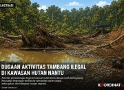 LSM Lingkar Pemuda Gorotalo Menduga Aktivitas Tambang Ilegal di Wilayah Konservasi Nantu Sengaja Dipelihara