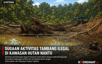LSM Lingkar Pemuda Gorotalo Menduga Aktivitas Tambang Ilegal di Wilayah Konservasi Nantu Sengaja Dipelihara