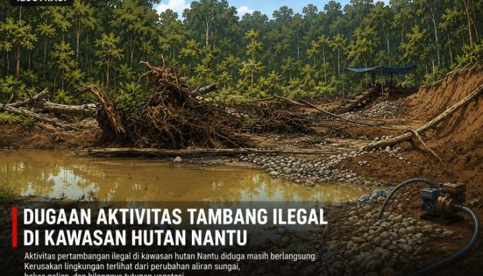 LSM Lingkar Pemuda Gorotalo Menduga Aktivitas Tambang Ilegal di Wilayah Konservasi Nantu Sengaja Dipelihara