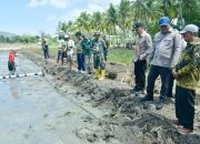 Lahan Tidur 2 Hektare di Motolohu Mulai Ditanami Padi