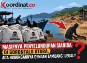 Masifnya Penyelundupan Sianida di Gorontalo Utara, Ada Hubungannya dengan Tambang Ilegal?