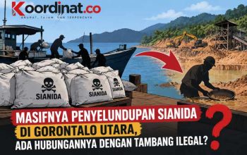 Masifnya Penyelundupan Sianida di Gorontalo Utara, Ada Hubungannya dengan Tambang Ilegal?