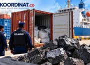 44 Ton Batu Hitam Terungkap, Berapa Potensi Kerugian Negara?