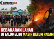Kebakaran Lahan di Talumelito Belum Padam, Kasatpol PP dan Damkar Kab.Gorontalo Pimpin Apel Tim Gabungan