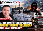 Kasus Sianida Gorontalo Utara: ABK Diproses Hukum, Ko Lexi Sempat Dicari, Siapa Aktor di Baliknya?